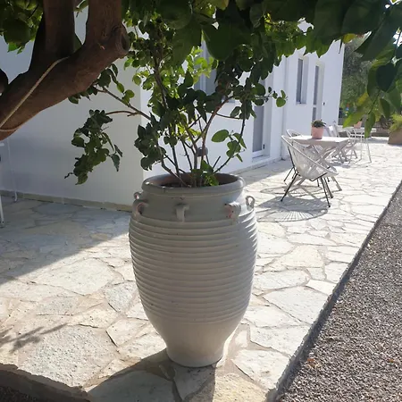 Cozy Flat * Galaxídhion