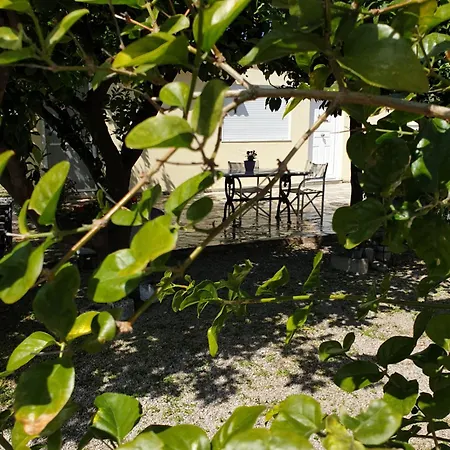 Cozy Flat Galaxídhion